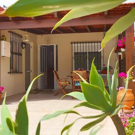 Lejlighed Ideal Family House With Big Yard In Ialysos, Rhodes Lalyssos